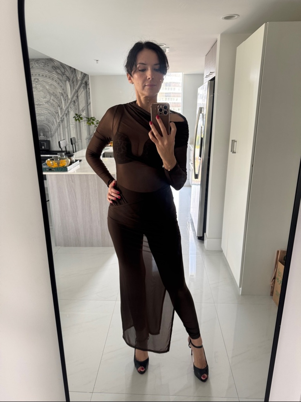 Elegant Dark Brown Sheer Mesh Maxi Dress / Cover-Up